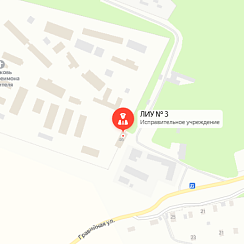 ЛИУ-3 Боровичи